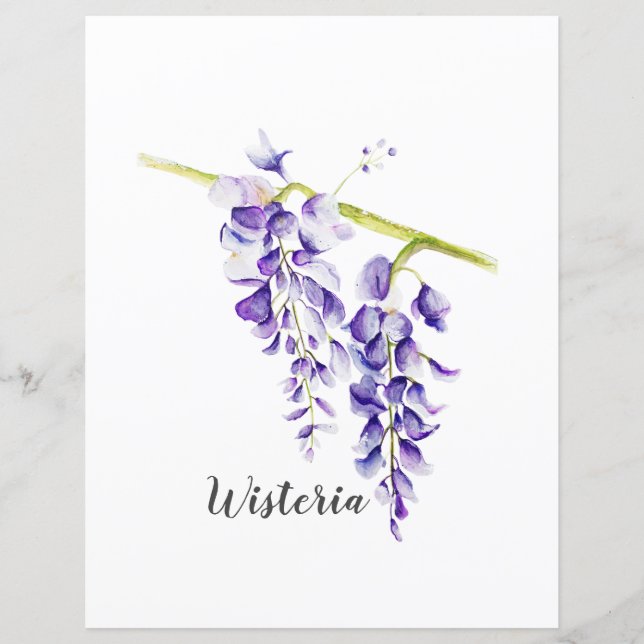 Lámina Papel de cuaderno de agua histeria (Anverso)