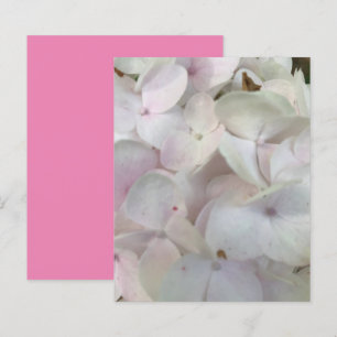 Lámina Papel de cuaderno de brotes de hidrangema rosa bla