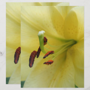 Lámina Papel de cuaderno de notas de la flor amarilla