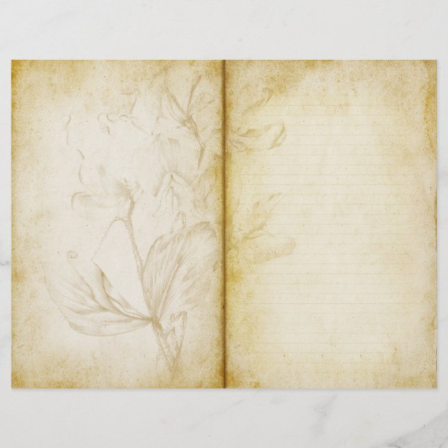 Lámina Papel de cuaderno de notas del diario de vejez con (Anverso)