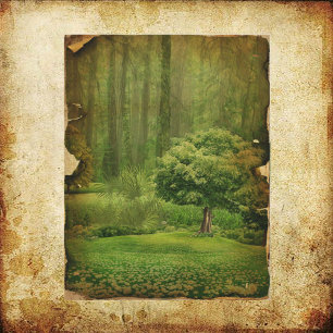 Lámina Papel de cuaderno gráfico de árbol grungable