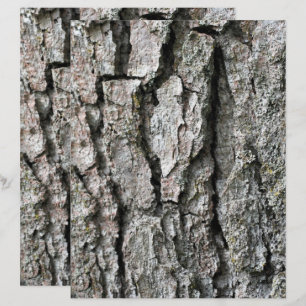 Lámina Papel de cuaderno gráfico de la naturaleza de la c