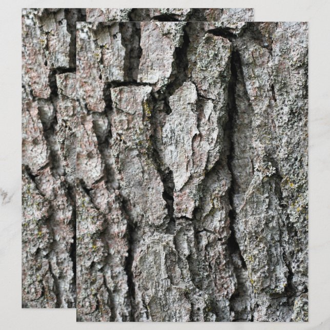 Lámina Papel de cuaderno gráfico de la naturaleza de la c (Anverso / Reverso)