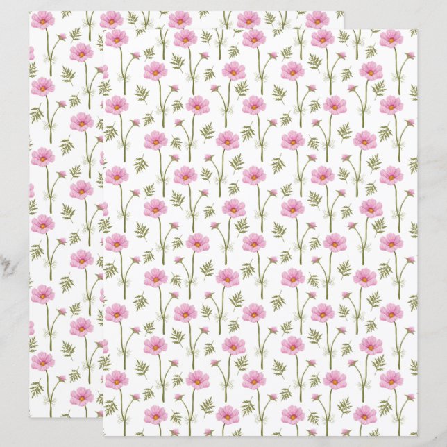 Lámina Papel de estafa de Cosmos (Anverso / Reverso)