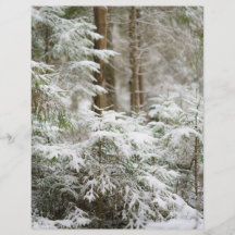 Papel de fondo de scrapbook de Navidad de naturale
