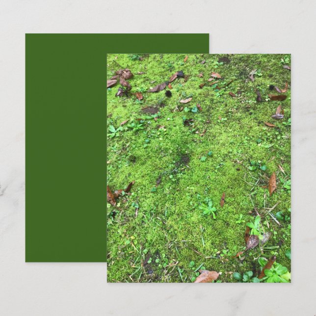 Lámina Papel de la tribuna de los bosques verdes de Mossy (Anverso / Reverso)