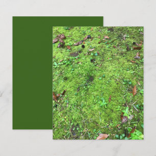 Lámina Papel de la tribuna de los bosques verdes de Mossy
