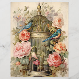 Lámina Papel de libro de texto de belleza aviar