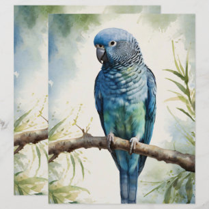 Lámina Papel de minigráfico de Eucalyptus Parakeet