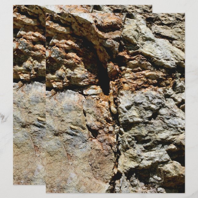 Lámina Papel De Papel De Carrera De La Naturaleza De Pied (Anverso / Reverso)