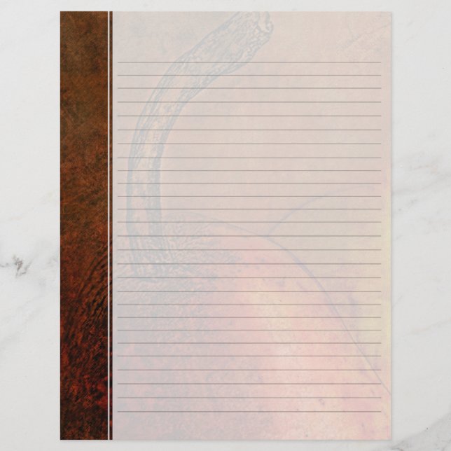 Lámina Papel de relleno de binador del viejo mundo (Anverso)