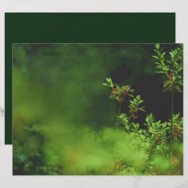 Lámina Papel de Scrapbook Bosque Verde Oscuro