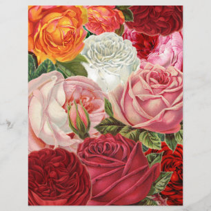 Lámina Papel de Scrapbook Collage de Rosas Repollo Victor