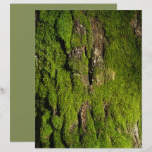 Papel de scrapbook con musgo en corteza de árbol