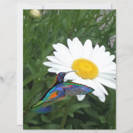 Lámina Papel de scrapbook con tema de colibrí 