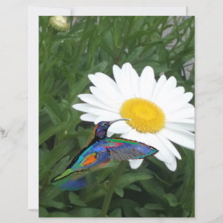 Lámina Papel de scrapbook con tema de colibrí 