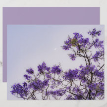 Papel de Scrapbook de árbol de primavera pastel so