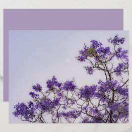Lámina Papel de Scrapbook de árbol de primavera pastel so