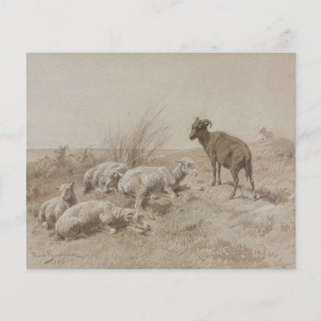 Lámina Papel de Scrapbook de Arte de Grafito de Oveja (Anverso)