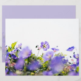 Lámina Papel de Scrapbook de Dos Caras con Flor Silvestre