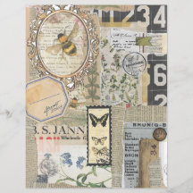 Papel de Scrapbook de Efímera Botánica de Abeja Vi