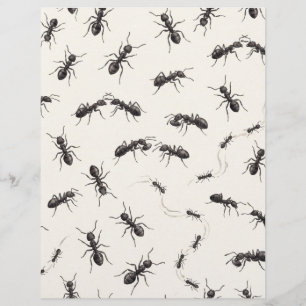Lámina Papel de Scrapbook de Entomología de Hormigas Negr