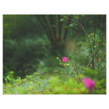 Papel de Scrapbook de Flor de Bosque Soñador