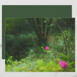 Lámina Papel de Scrapbook de Flor de Bosque Soñador