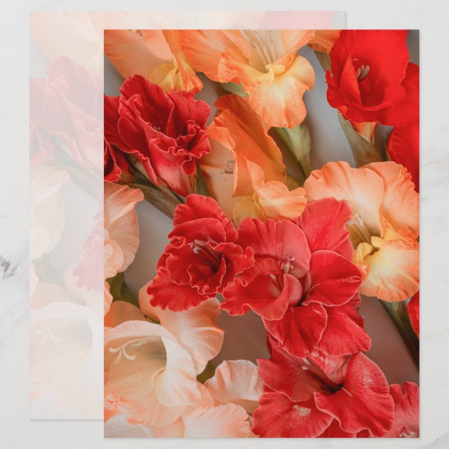 Lámina Papel de Scrapbook de Flores de Gladiolo Vibrantes (Anverso / Reverso)