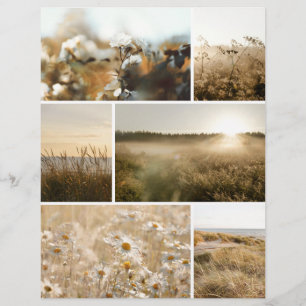 Lámina Papel de scrapbook de naturaleza de hora dorada pa