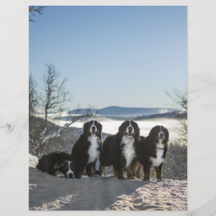 Lámina papel de scrapbook del grupo de perros de montaña 