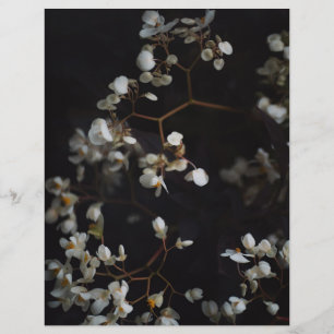 Lámina Papel de Scrapbook Floral Oscuro Elegante
