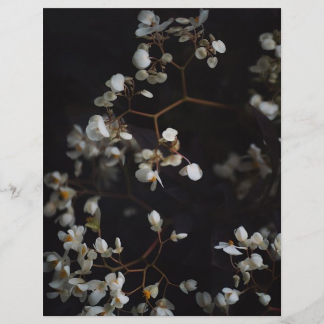 Lámina Papel de Scrapbook Floral Oscuro Elegante (Anverso)