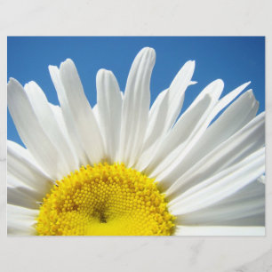 Lámina Papel de scrapbook Flores de Margarita Blanca Ciel