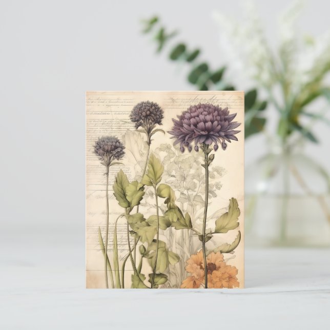 Lámina Papel de Scrapbook Herbario Botánico Vintage (Anverso de pie)