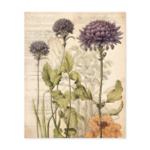 Papel de Scrapbook Herbario Botánico Vintage