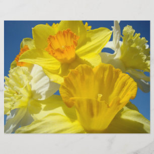 Lámina Papel de scrapbooking Flores Amarillas Narcisos