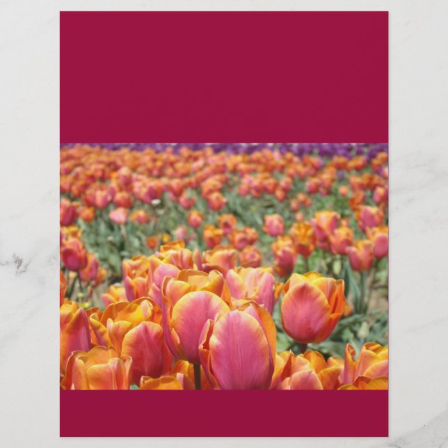 Lámina Papel de scrapbooking Flores de Tulipán Coloridas  (Anverso)