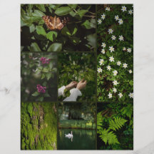 Papel de Scrapbooking Núcleo de Naturaleza Verde O