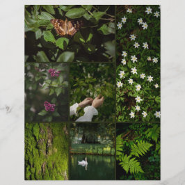 Lámina Papel de Scrapbooking Núcleo de Naturaleza Verde O