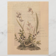 Papel Escrapbook Ephemera 5