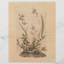 Lámina Papel Escrapbook Ephemera 5