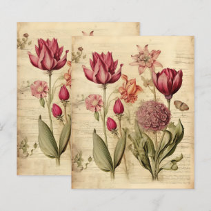 Lámina Papel florero herbático vintage