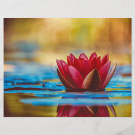 Lámina Papel flotante de cartón rojo de Lotus