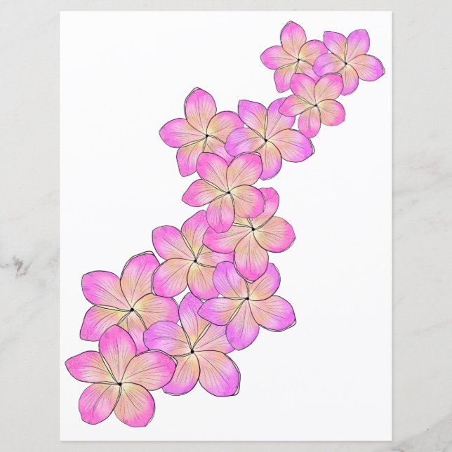Lámina Papel frangipani para el libro de cricket (Anverso)