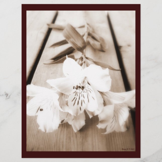 Lámina Papel membretado de lirio sepia (Anverso)