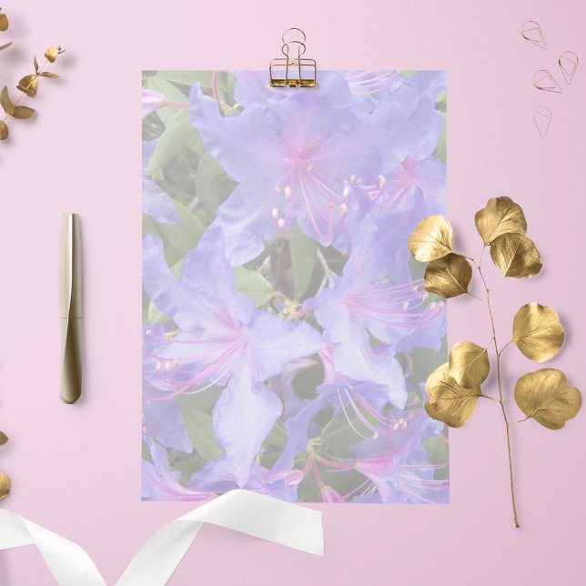 Lámina Papel morado de estacionamiento floral de rododend (In Situ)