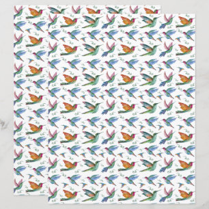 Lámina Papel para Álbum de Colibríes