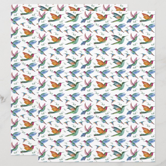 Lámina Papel para Álbum de Colibríes (Anverso / Reverso)