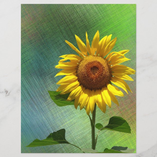 Lámina Papel para el crapbook del girasol (Anverso)
